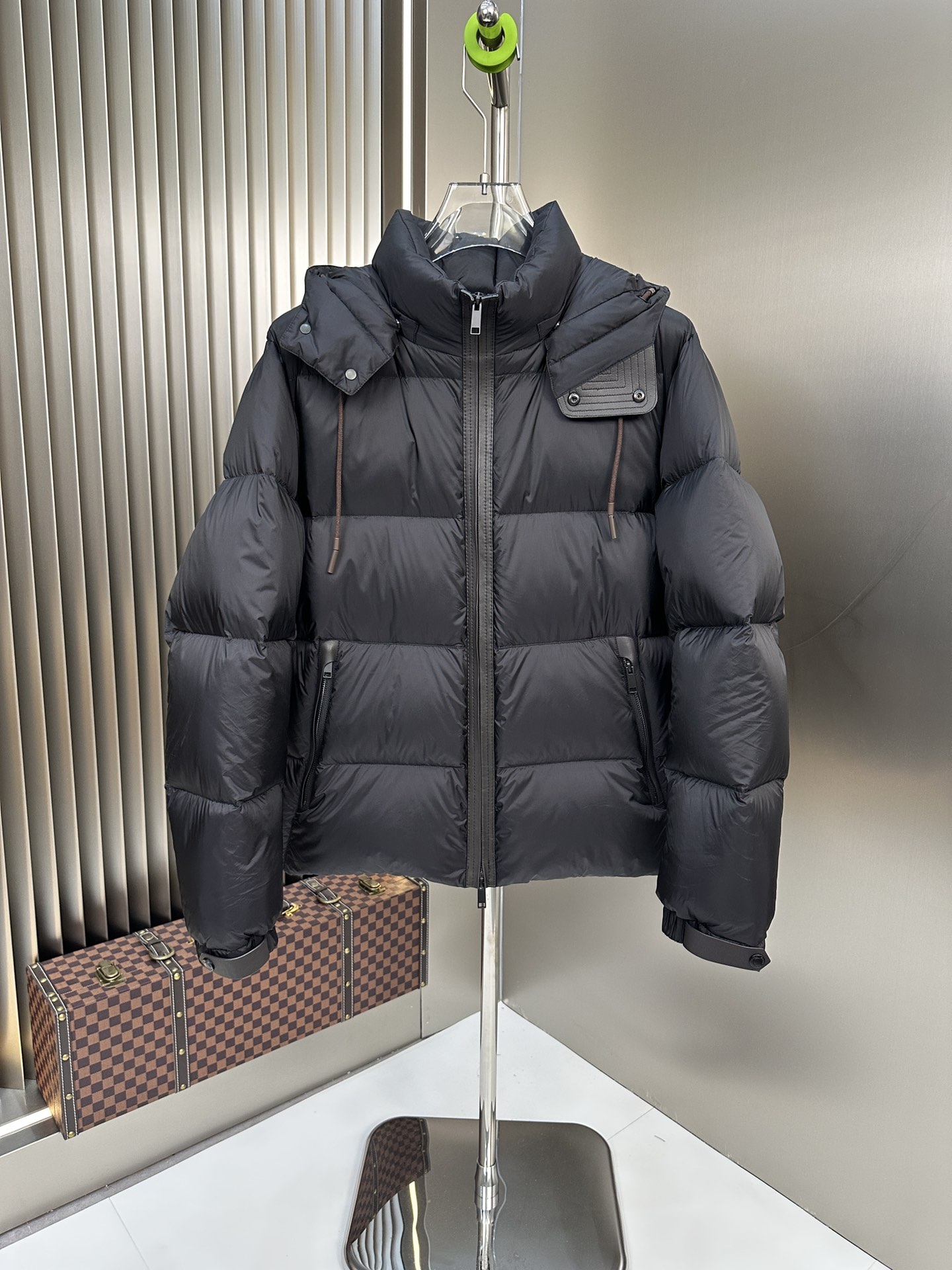 Zegna Down Jackets